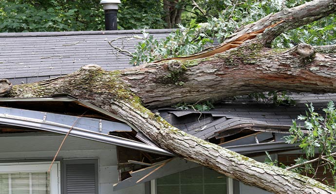A damaged house roof by fallen tree