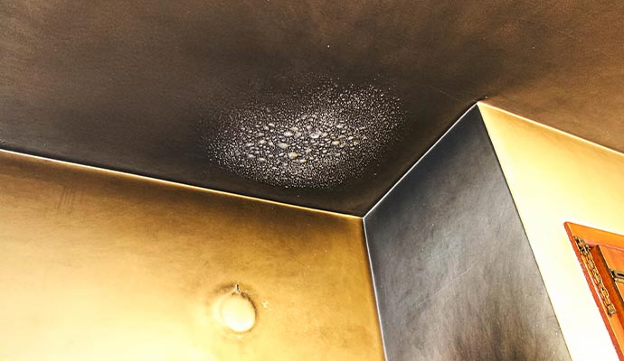 Ceiling soot damage removal services