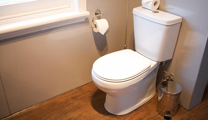 Clean Toilet Clean Toilet