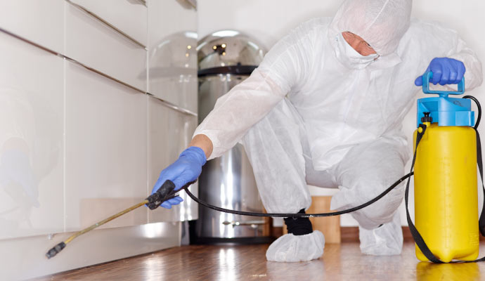 Expert providing disinfection and sanitization service with equipment