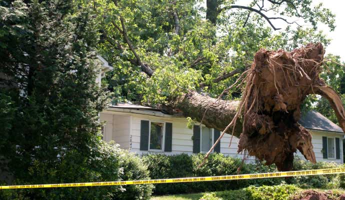 House roof damaged by fallen tree due to wind