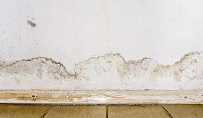 Moisture damaged wall