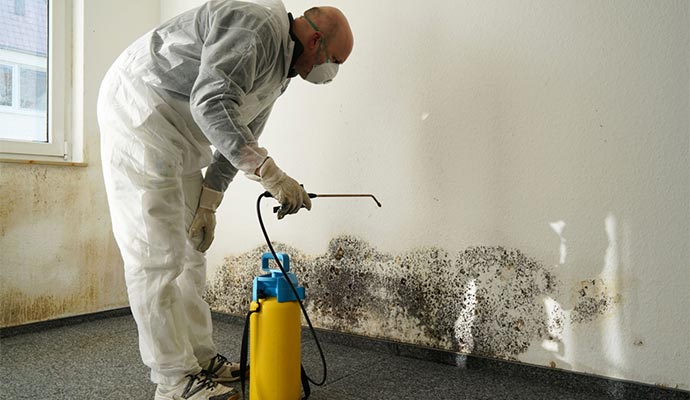 Mold Decontamination in Morgantown and Bridgeport, WV