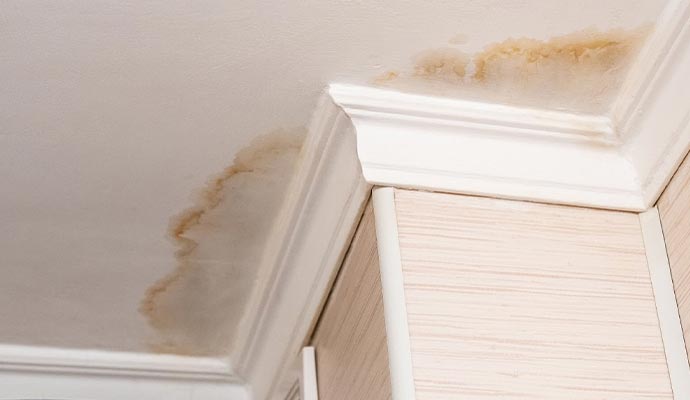 Leaking Roof