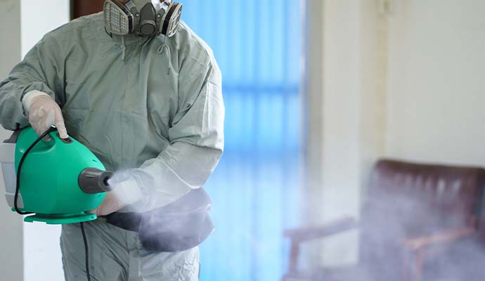 Smoke odor removal service 