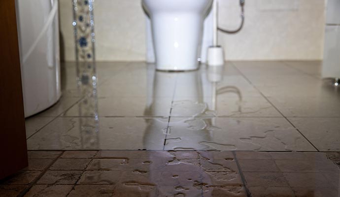 Toilet Overflow Water Restoration