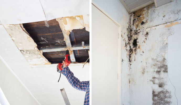 Collage of structural damage and mold growth Collage of structural damage and mold growth
