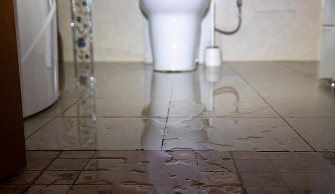 Sewage cleaning